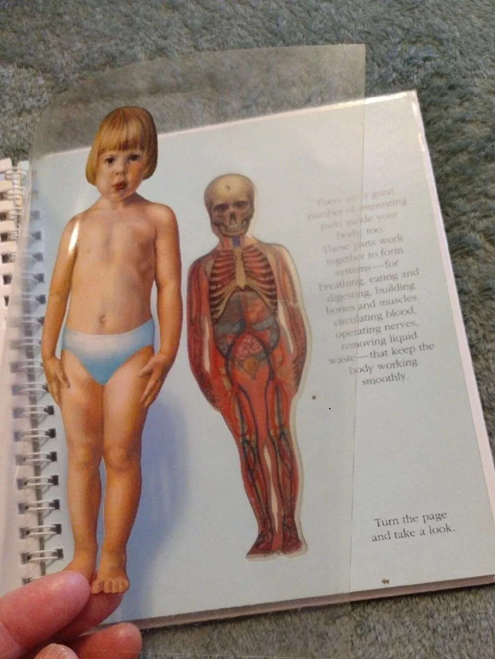 3/$15 - The Human Body